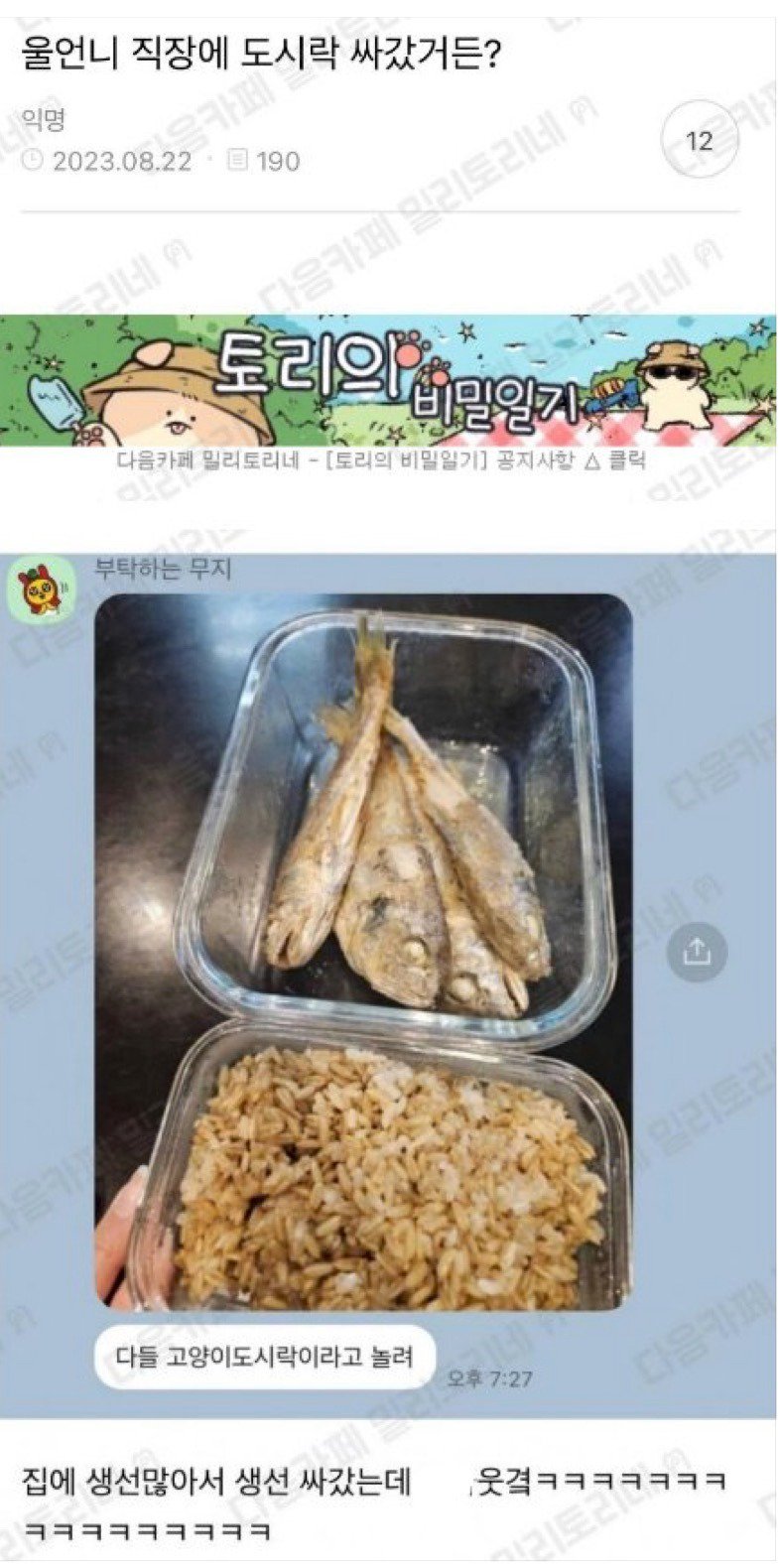 회사에 도시락 싸갔는 데 사람들이 놀려 생선만 4개싸감 고양이냐고 놀림.jpg