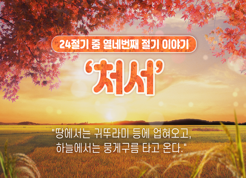 2020년 처서 뜻과 풍습·'처서매직'은 무엇일까? : 네이버 블로그