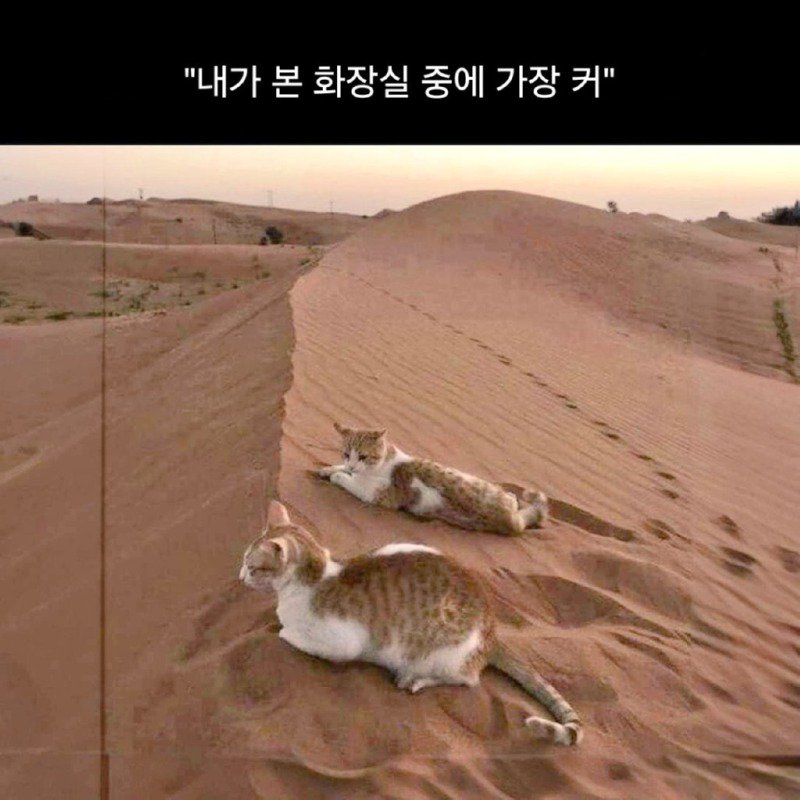 가장큰화장실.jpg