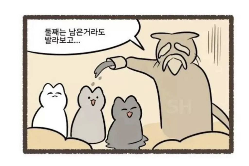 고양이 털색이 정해지는 과정.jpg | 인스티즈