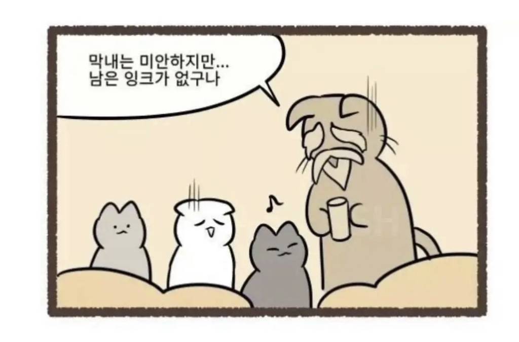 고양이 털색이 정해지는 과정.jpg | 인스티즈